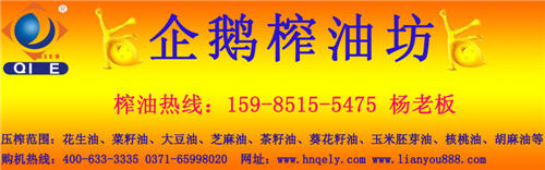 企鵝榨油坊遍布國內(nèi)外(圖1)